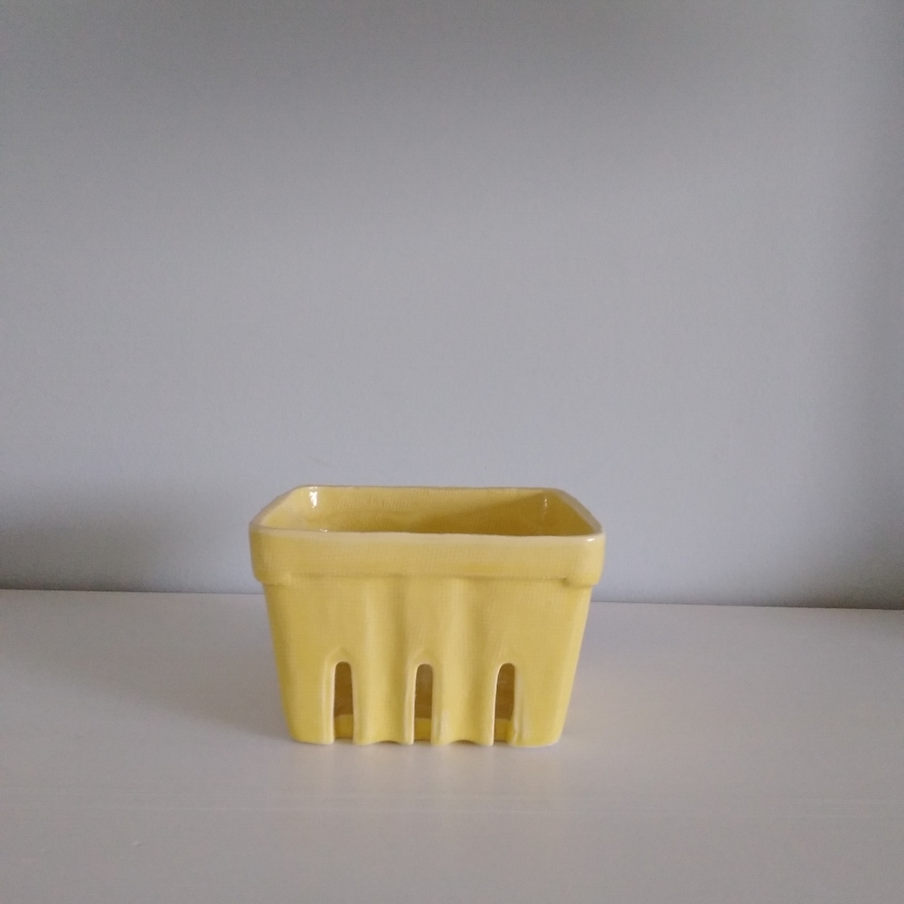 Anthropologie Berry Basket